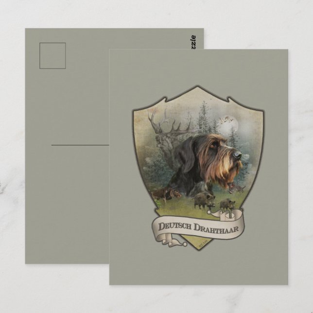 Tysk Wirehsted Pointer Vykort (Fram/baksida)