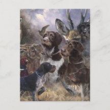 Tysk Wirehsted Pointer