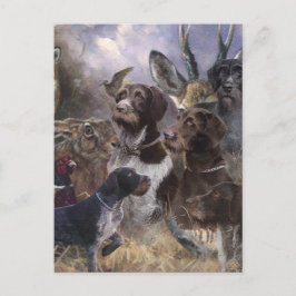 Tysk Wirehsted Pointer Vykort