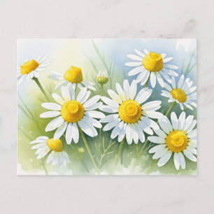 Tyska Chamomile i Bloom Helg Vykort