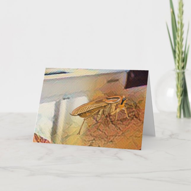 Tyska Cockroach 🪳 Tack Kort (Framsida)