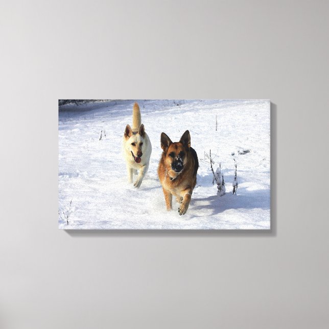 Tyska herdar som går i Snö Canvastryck (Framsida)