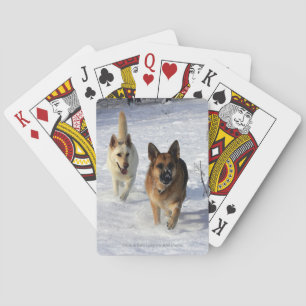 Tyska herdar som går i Snö Spel Kort