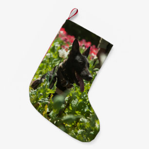 Tyska herde i Fält Liten Julstrumpa
