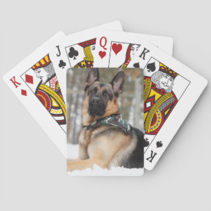Tyska herde i Snö Casinokort
