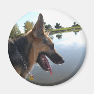 Tyska herde magnet