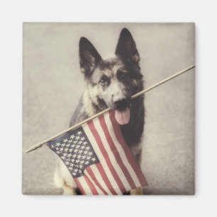 Tyska herde med amerikanska Flagga Magnet