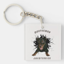 Tyska jaktterrier (Jagdskräcker)