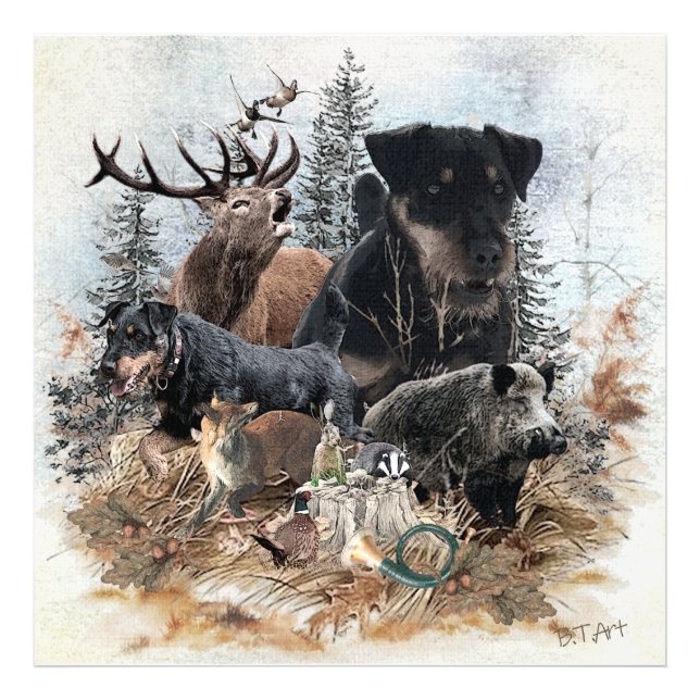 Tyska jaktterrier (Jagdskräcker) Fototryck (Framsidan)