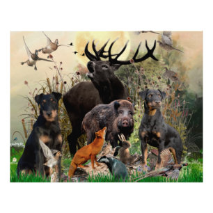 Tyska jaktterrier (Jagdskräcker) Fototryck