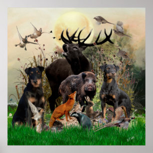 Tyska jaktterrier (Jagdskräcker) Poster