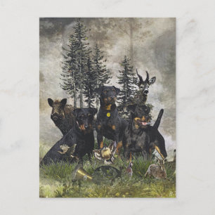 Tyska jaktterrier (Jagdskräcker) Vykort