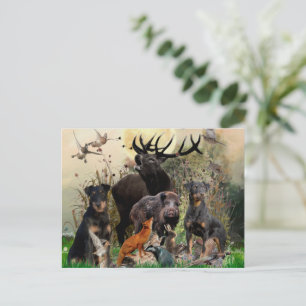 Tyska jaktterrier (Jagdskräcker) Vykort