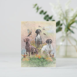 Tyska korthögtalare (GSP), jaktfasoner Vykort