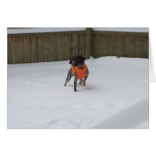 Tyska korthögtalare i Snö OBS Kort