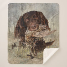 Tyska Långhåriga pekare