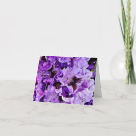 Tyska Rhododendron Tack Kort