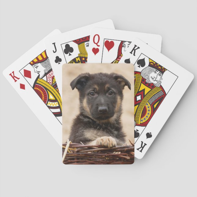 Tyska schackvalster i Basket Casinokort (Baksidan)