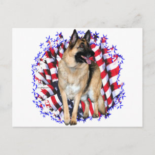 Tyska schepherd Patriot Vykort