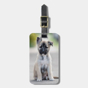 Tyska schepherd Puppy på fotbanan Bagagebricka