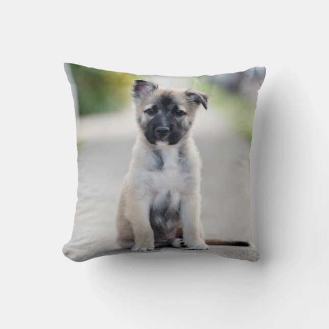 Tyska schepherd Puppy på fotbanan Kudde (Framsida)