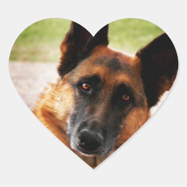 Tyska schepherd Stickers Hjärtformat Klistermärke (Framsida)
