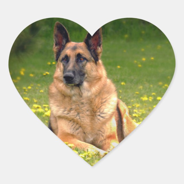 Tyska schepherd Stickers Hjärtformat Klistermärke (Framsida)