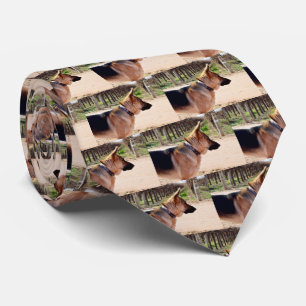 Tyska shefherd Guard Duty, Neck Tie Slips