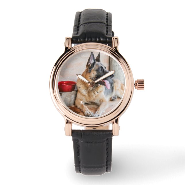 Tyska Sheperd Resting by Vatten Basin Armbandsur (Framsida)