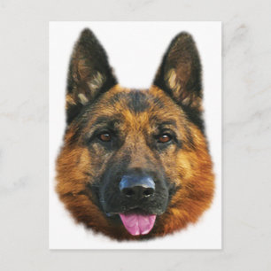 Tyska shepherd Alsatian K-9 Hund Vykort