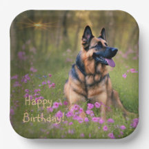 Tyska shepherd Birthday