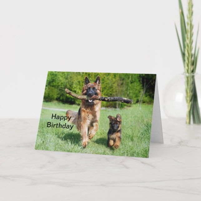 Tyska shepherd Birthday Kort (Framsida)