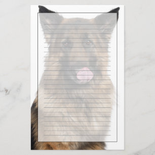 Tyska shepherd brevpapper
