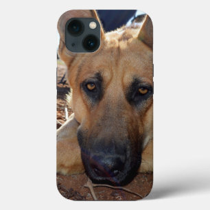 Tyska shepherd Cat Naps, iPhone 13 Fodral