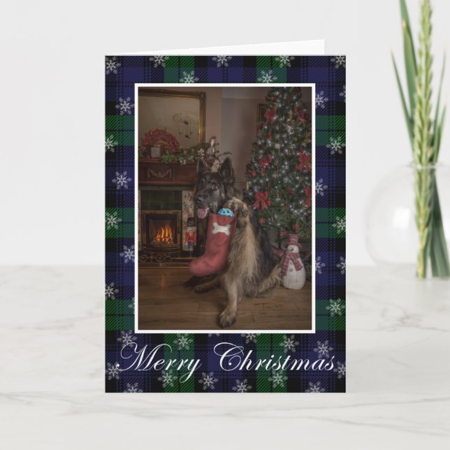 Tyska shepherd christmas Foldat-Helgdag Card Helgkort (Framsida)