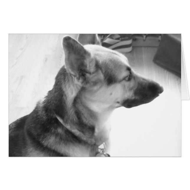 Tyska shepherd hälsningskort (Framsidan Horizontal)