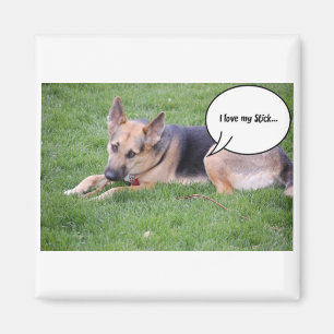 Tyska shepherd Humor Magnet