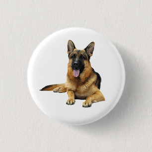 Tyska shepherd Hund Knapp