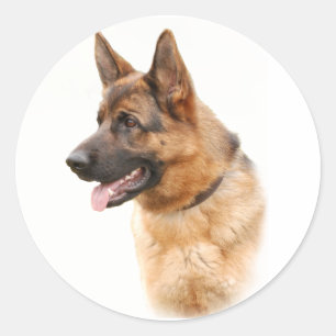 Tyska shepherd hund runt klistermärke