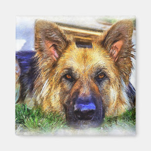 Tyska shepherd magnet