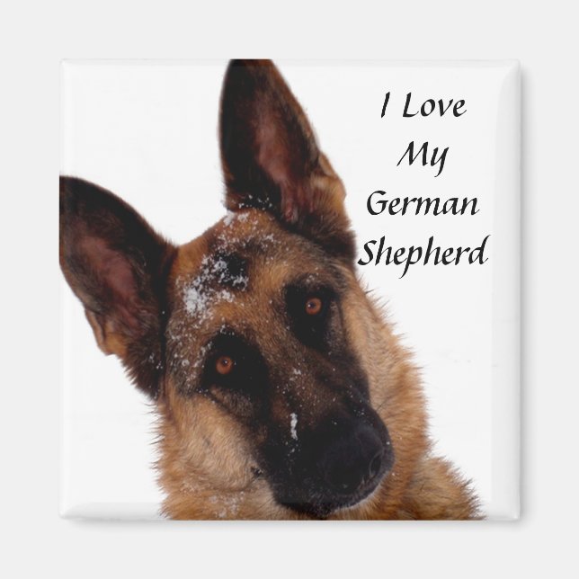 Tyska Shepherd Magnet (Framsidan)