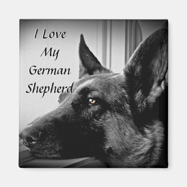 Tyska Shepherd Magnet (Framsidan)
