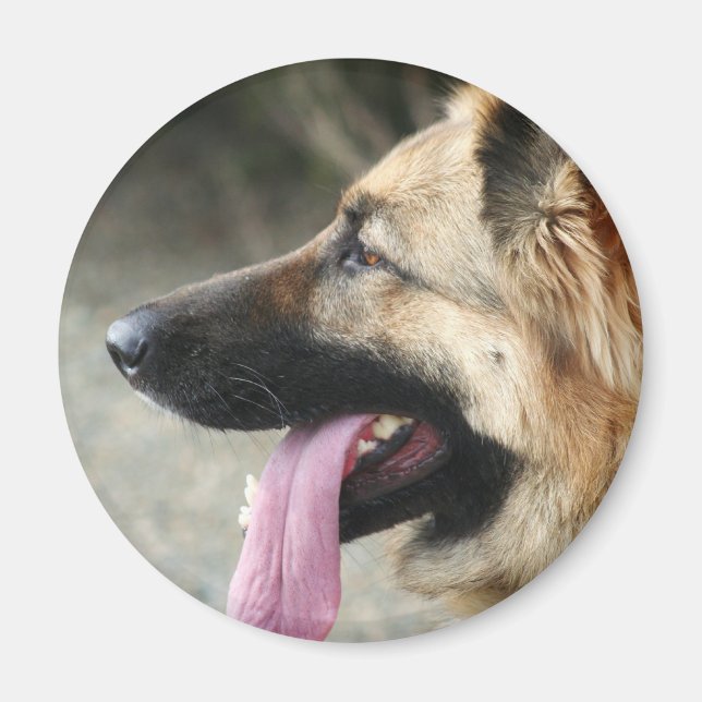 Tyska shepherd magnet (Framsidan)