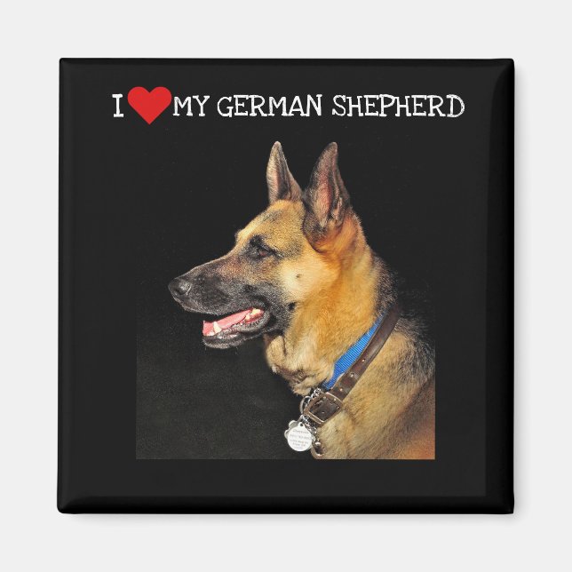 Tyska Shepherd Magnet (Framsidan)