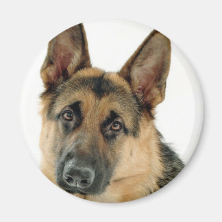 Tyska shepherd magnet