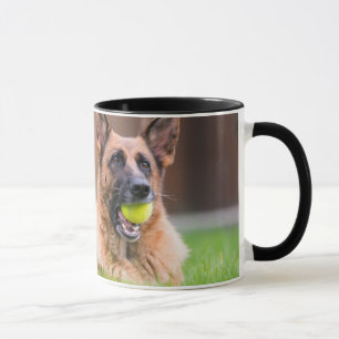 Tyska shepherd med Tennis Boll Mugg