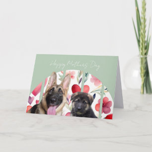 Tyska Shepherd: Mors dag Card Kort