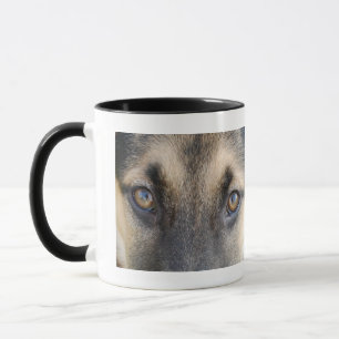 Tyska shepherd mugg