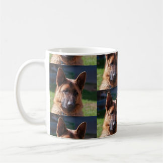 Tyska shepherd Mugg