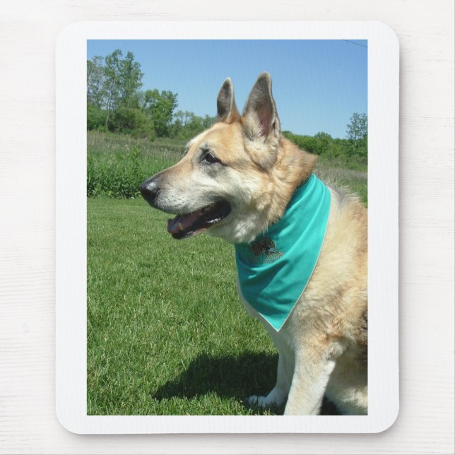 Tyska shepherd musmatta (Framsidan)